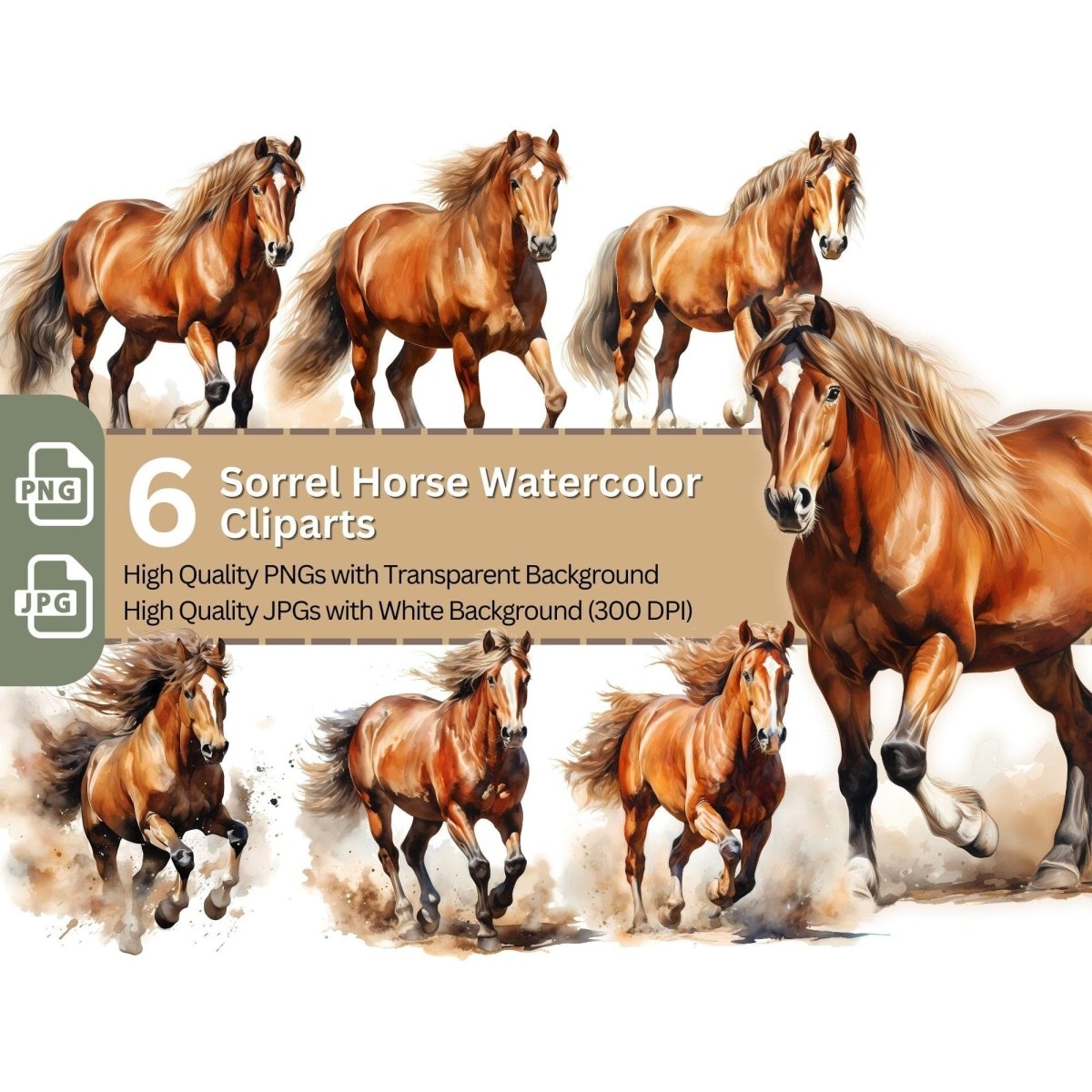 Sorrel Horse Cliparts 6+6 High Quality PNGs Animal Clipart - Everything Pixel
