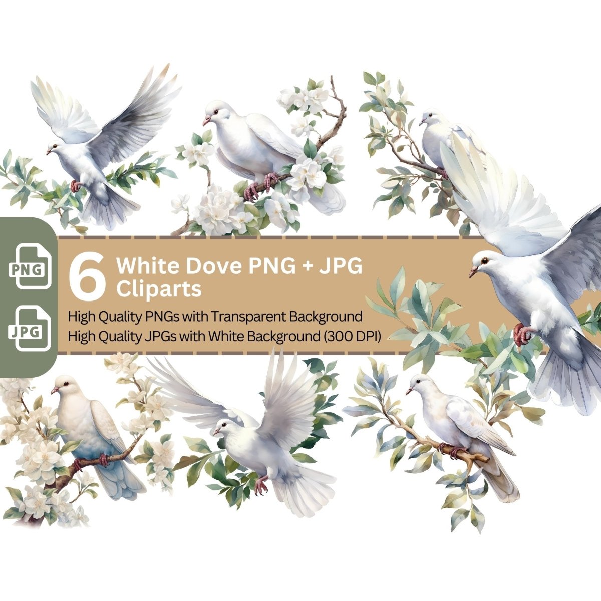 White Dove Watercolor 6+6 PNG Clip Art Bundle - Everything Pixel