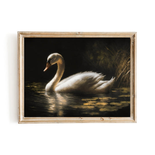 White Swan in Pond A white swan with shimmering golden feathers in a serene pond - Everything Pixel