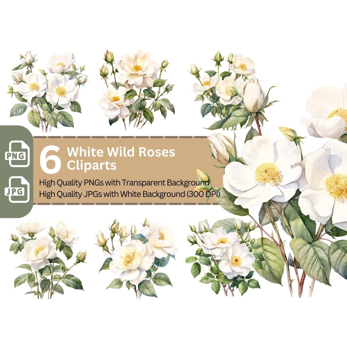 White Wild Rose 6+6 PNG Bundle for Sublimation Clipart - Everything Pixel