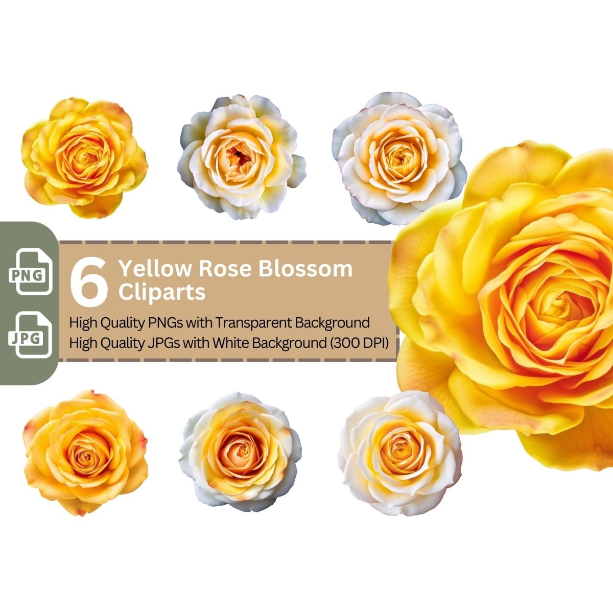 Yellow Rose Blossom 6+6 PNG Bundle for Sublimation Clipart - Everything Pixel